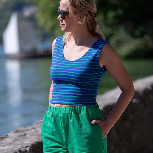 Crop Top Linda rayures vertes et bleues